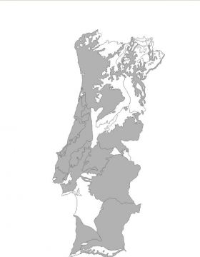 Distribuição em Portugal